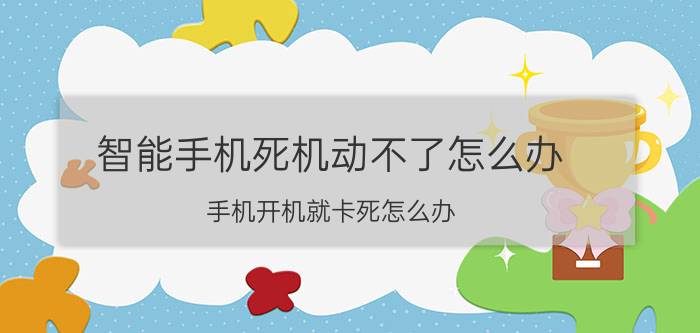 智能手机死机动不了怎么办 手机开机就卡死怎么办？